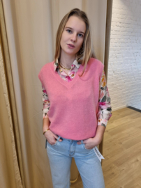 truitje zonder mouwen snoeproze