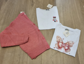 T-shirt vlinder