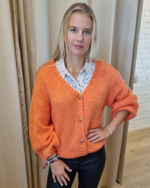 hemdje met korte mouwtjes en bruin/blauwe print