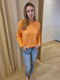 truitje met frulletje oranje