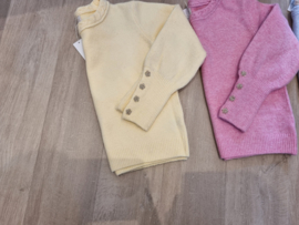 pastel trui met bloemenknopjes lichtblauw