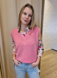 truitje zonder mouwen snoeproze