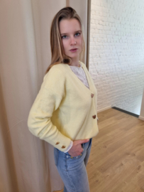 cardigan met hartjes geel