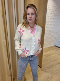cardigan met V-hals en roze details