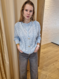 katoenen cardigan lichtblauw