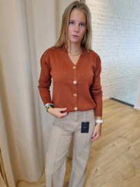cardigan met grote knopen roest