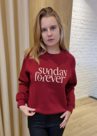warme sweater Sunday bordeaux
