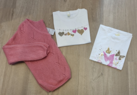 T-shirt hartjes roze/groen (maat L/XL)