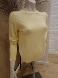 trui met zilveren knoopjes lichtgeel