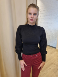 aansluitend truitje met licht glanseffect in de mouwen zwart