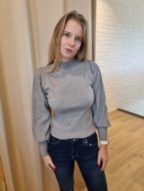 aansluitend truitje met licht glanseffect in de mouwen grijs