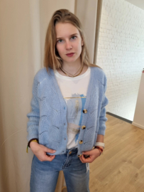 T-shirt verfstrepen blauw