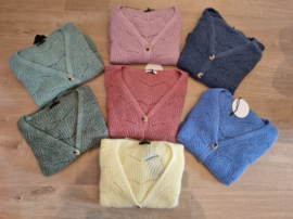 ajour cardigan oudroze