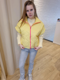 mouwloos donsjasje geel