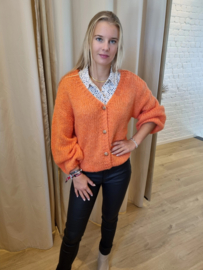 hemdje met korte mouwtjes en bruin/blauwe print