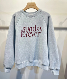 warme sweater Sunday grijs