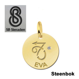 BEDEL-Sterrenbeeld- 14 krt goud met luxe Zirconia