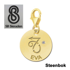 Karabijnslot - BEDEL-Sterrenbeeld- 14 krt goud met luxe Zirconia