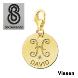 Karabijnslot - BEDEL-Sterrenbeeld- 14 krt goud met luxe Zirconia