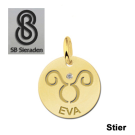 BEDEL-Sterrenbeeld- 14 krt goud met luxe Zirconia