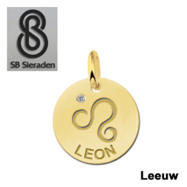 BEDEL-Sterrenbeeld- 14 krt goud met luxe Zirconia