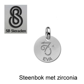BEDEL-Sterrenbeeld met zirconia- ECHT Zilver 925