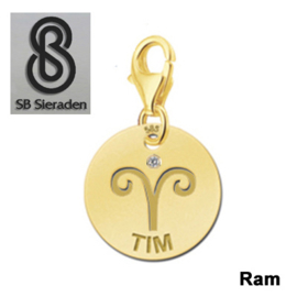 Karabijnslot - BEDEL-Sterrenbeeld- 14 krt goud met luxe Zirconia