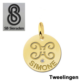 BEDEL-Sterrenbeeld- 14 krt goud met luxe Zirconia