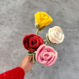 Rose purple red