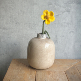 Daisy yellow