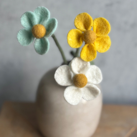 Daisy yellow