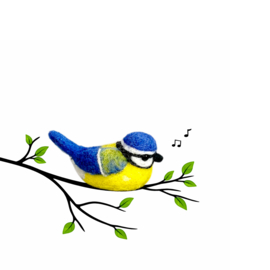 Bird blue tit (pimpelmees)