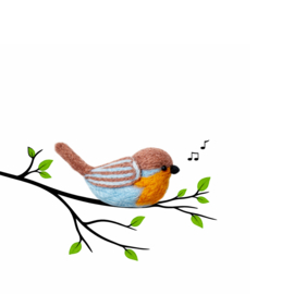 Bird red robin (roodborstje)