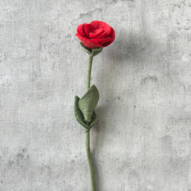 Rose ruby