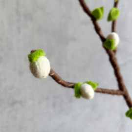Blossom small white