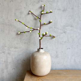 Blossom small white