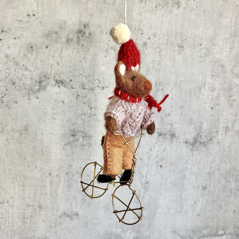 Beertje fiets