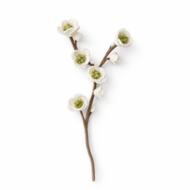 Cherry blossom large white green