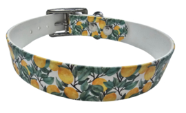 Biothane halsband Citroen