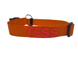 Halsband Oranje