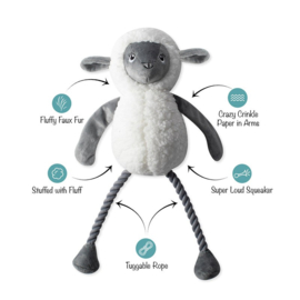 Little sheep