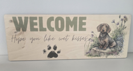Welcome, 'hope you like wet kisses' teckel ruwhaar