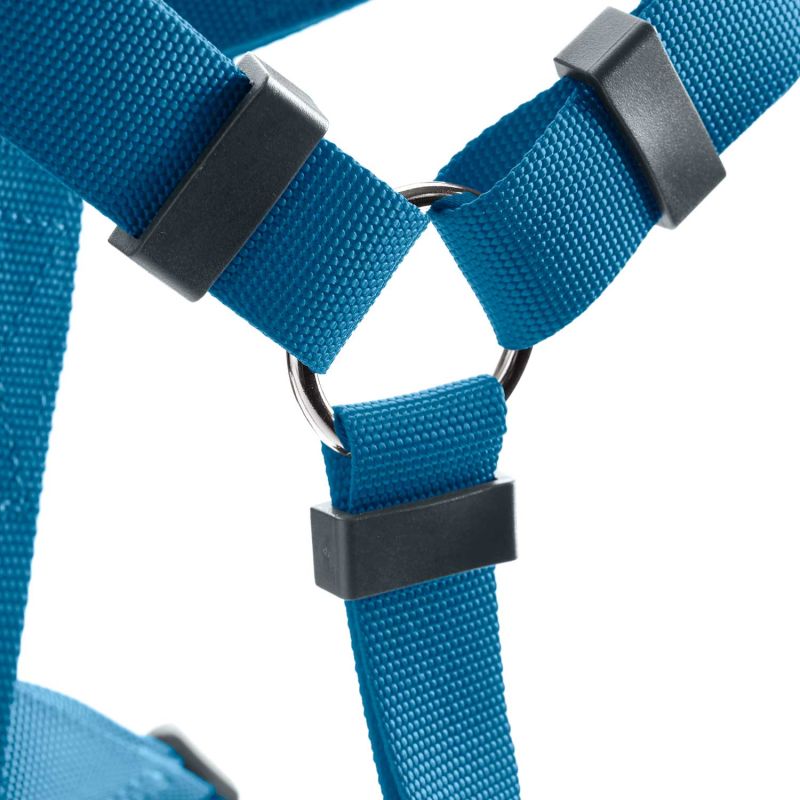 Y tuig met naam Turquoise
