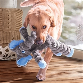 Kong Shaker olifant