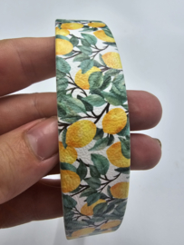 Biothane halsband Citroen