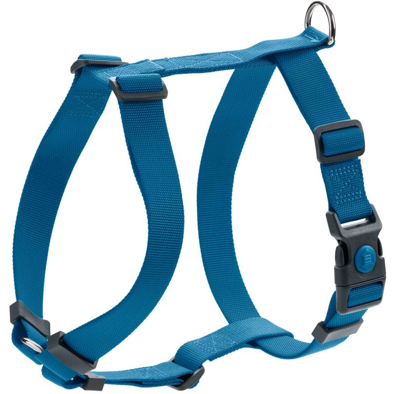 Y tuig met naam Turquoise