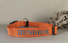 Halsband Oranje