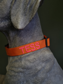 Halsband Oranje