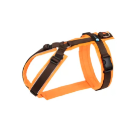 Annyx neon oranje L