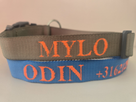 Halsband Legergroen
